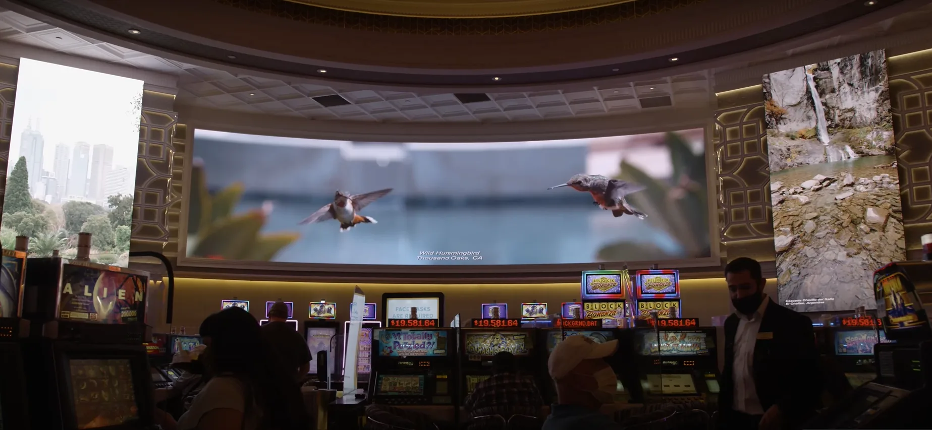 Windows of Peppermill